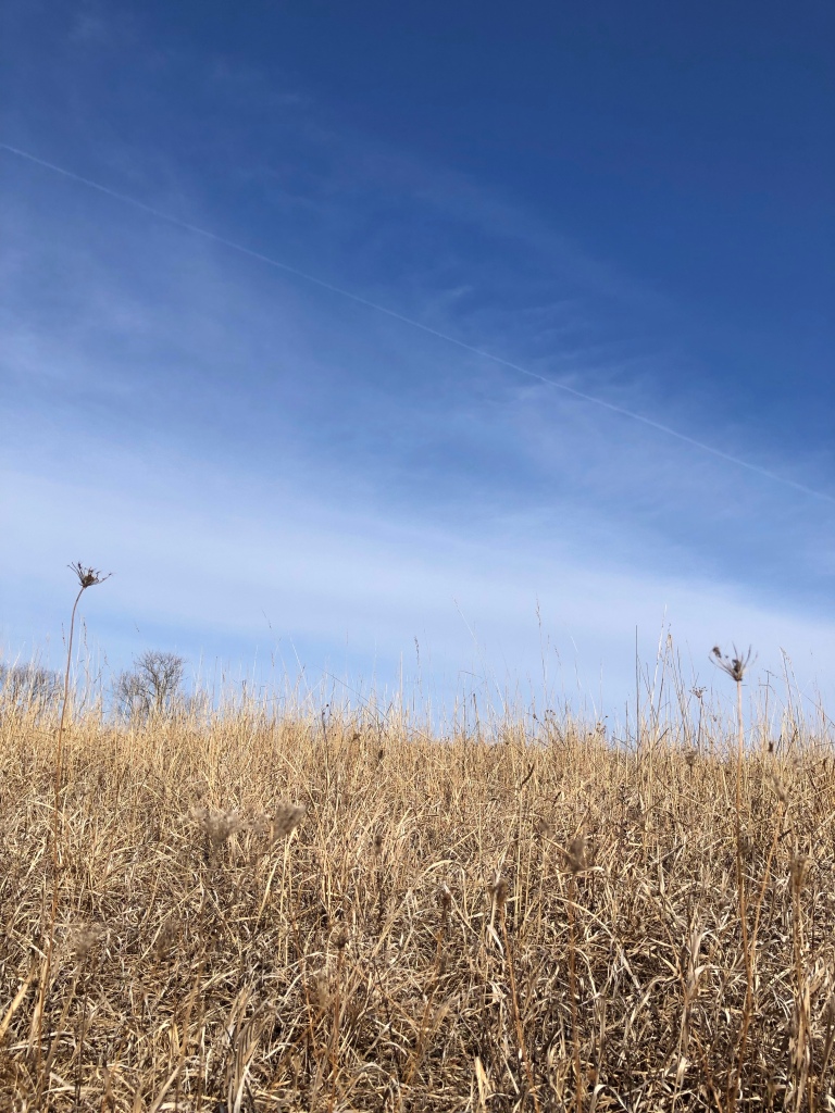 The foreground of the photo is filled with golden colored, dry grasses. Above a blue sky with wispy clouds fills the top of the photo.